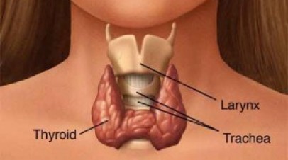 Hipertiroidi